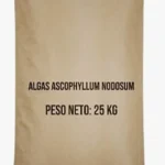 ALGAS MARINAS (ASCOPHYLLUM NODOSUM)